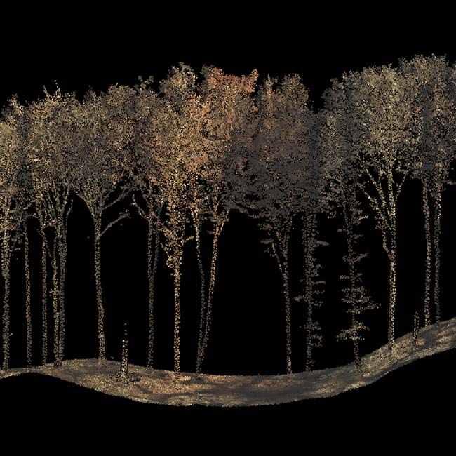 Dense point cloud